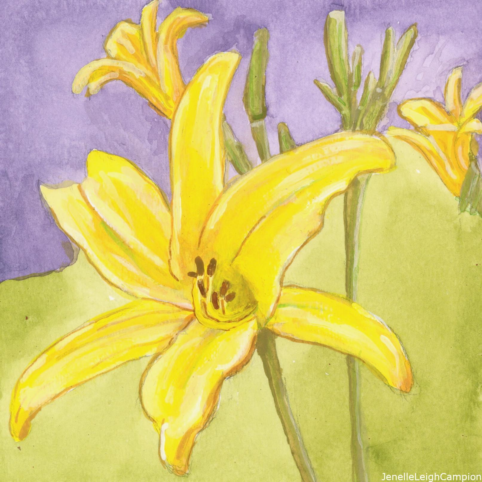 6/20/2014 Yellow lily found in Jackson Square in the French Quarter
