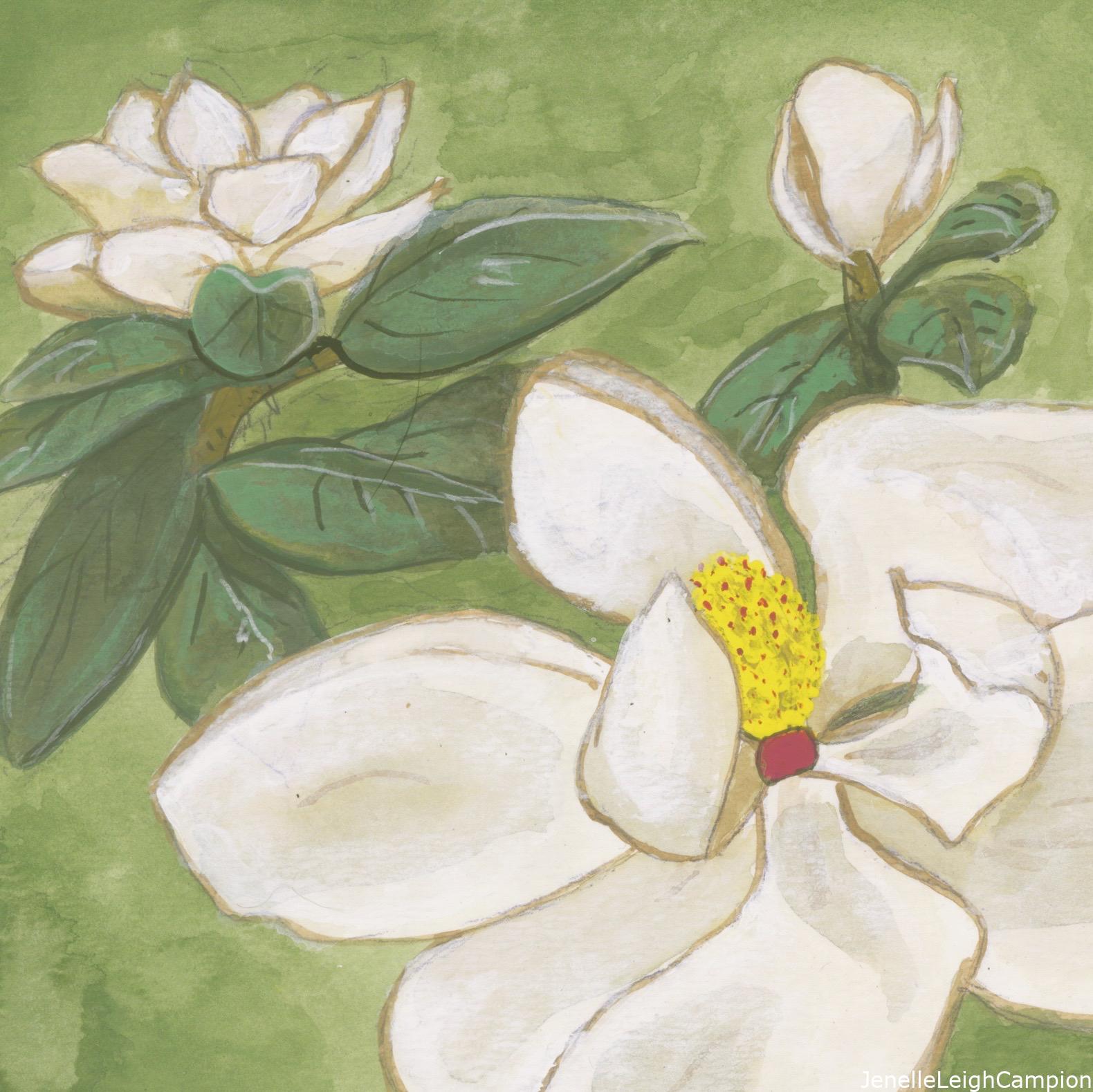 6/25/2014 Magnolia flowers found in Jackson Square in the French Quarter