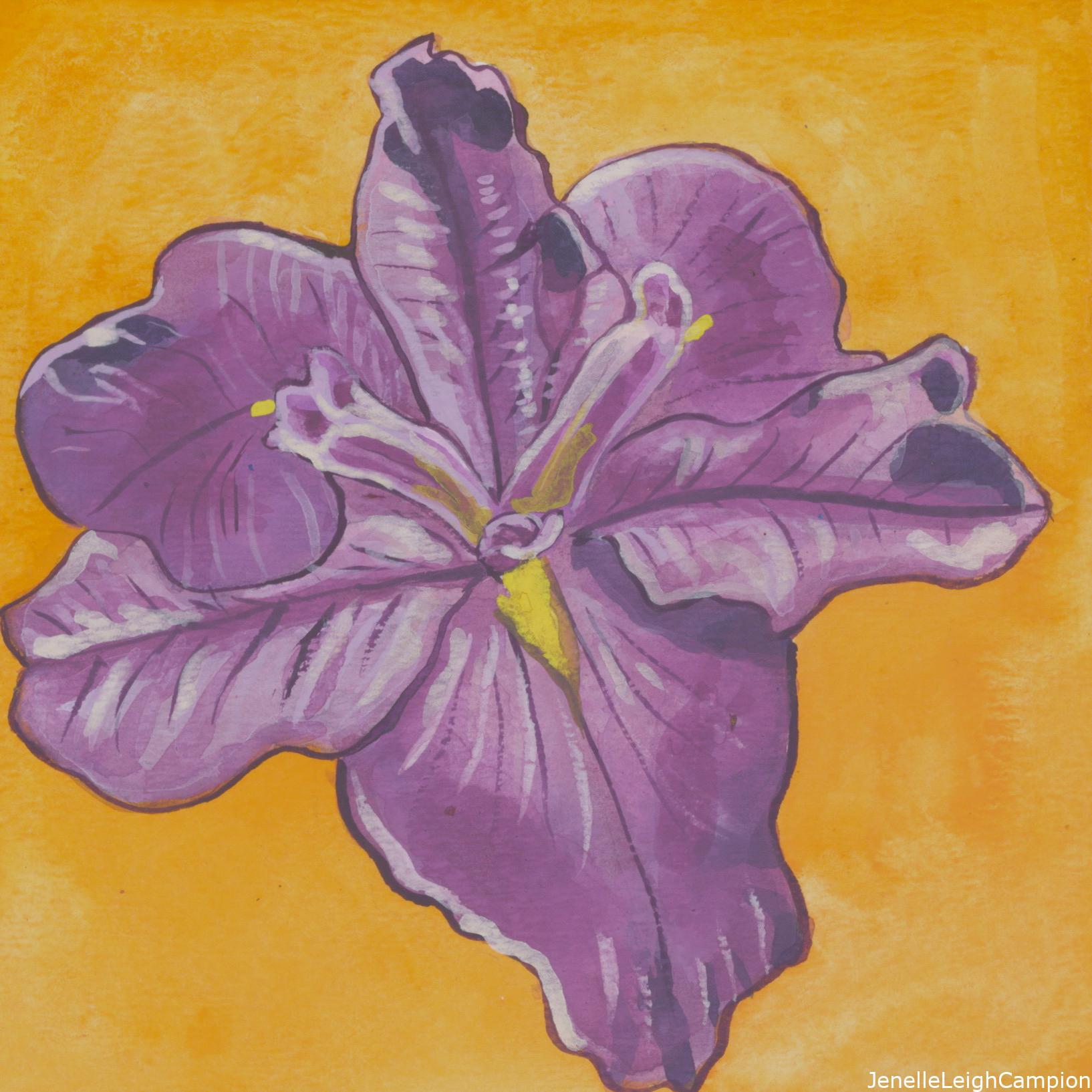 7/7/2014 Purple iris found in the NOMA sculpture garden in MidCity